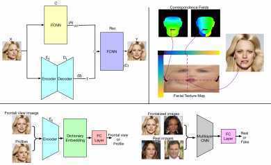 Towards High Fidelity Face Frontalization in the Wild